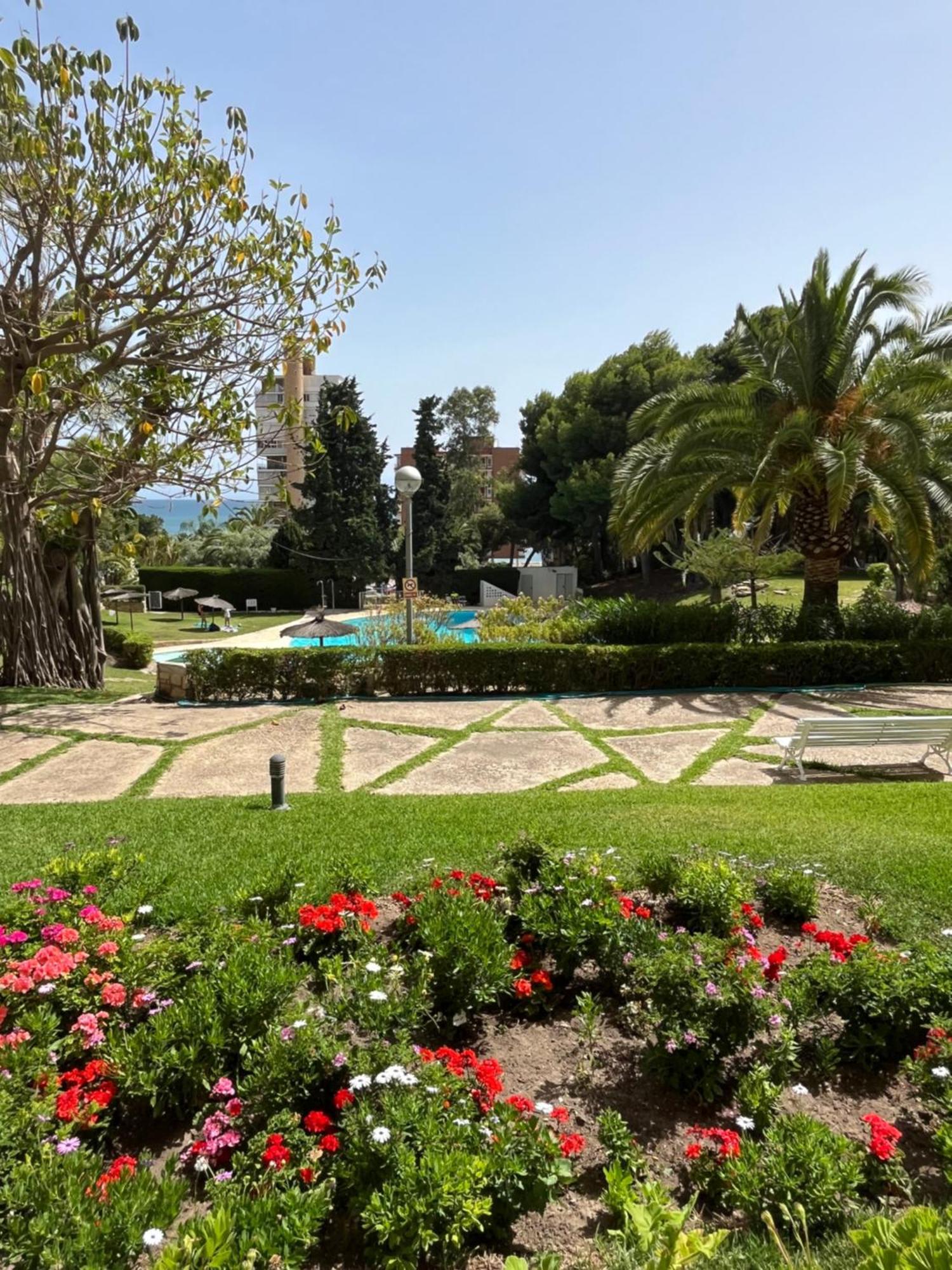Parque La Chicharra Near Alicante And Beach Exterior foto